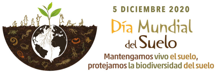 Día Mundial Del Suelo Bioingeniería Del Paisaje 0851