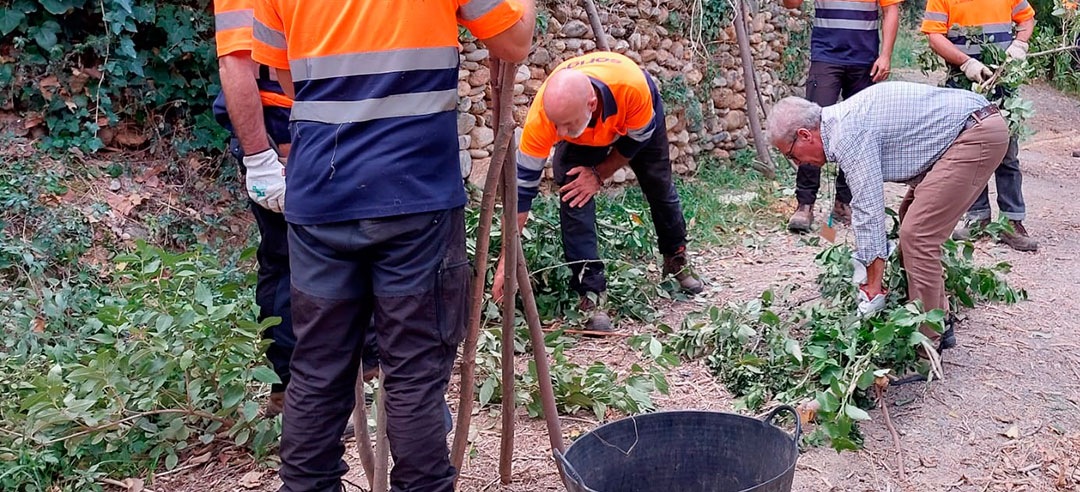 Técnicas de conservación del bosque