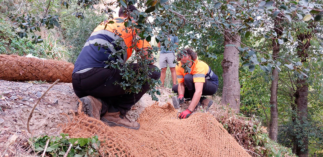 Técnicas de conservación del bosque