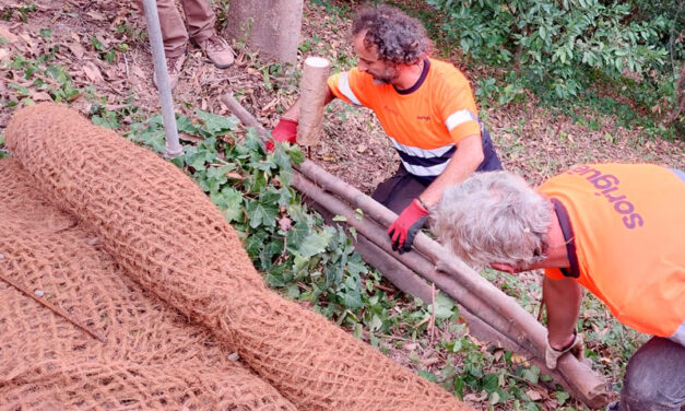 Curso sobre técnicas de conservación del bosque