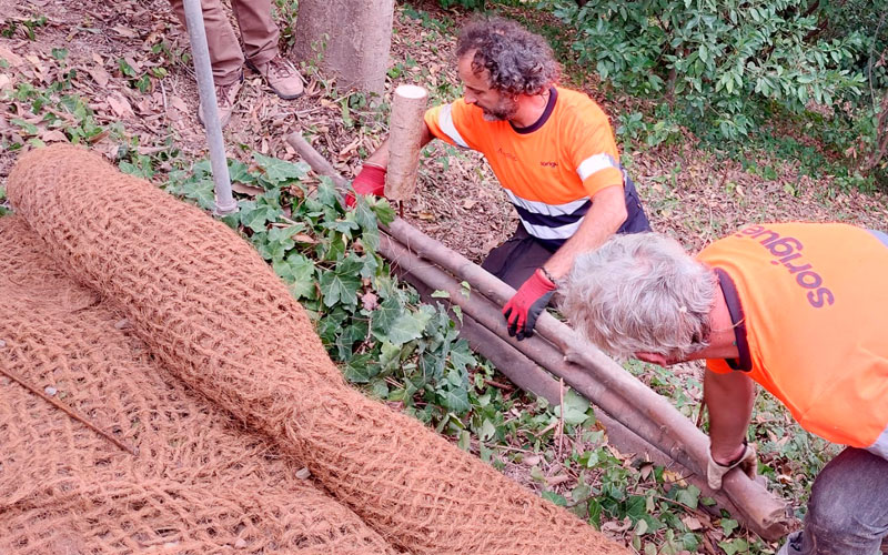 Curso sobre técnicas de conservación del bosque